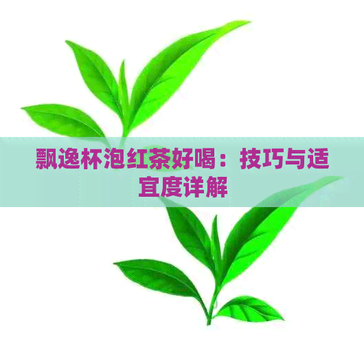 飘逸杯泡红茶好喝：技巧与适宜度详解