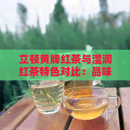 立顿黄牌红茶与湿润红茶特色对比：品味不同，哪款更合你心意？