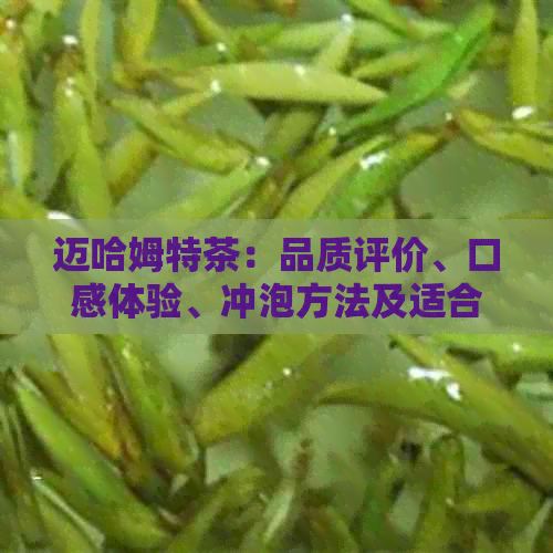 迈哈姆特茶：品质评价、口感体验、冲泡方法及适合搭配的美食详解