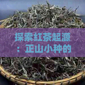 探索红茶起源：正山小种的历地位与影响