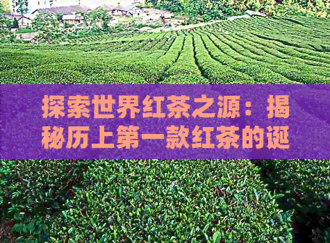 探索世界红茶之源：揭秘历上之一款红茶的诞生及其影响