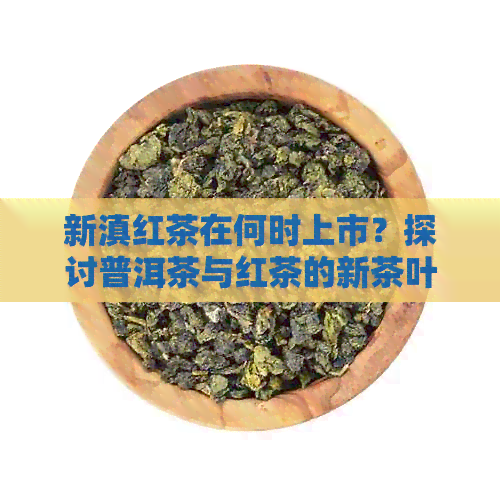 新滇红茶在何时上市？探讨普洱茶与红茶的新茶叶采摘时间差异