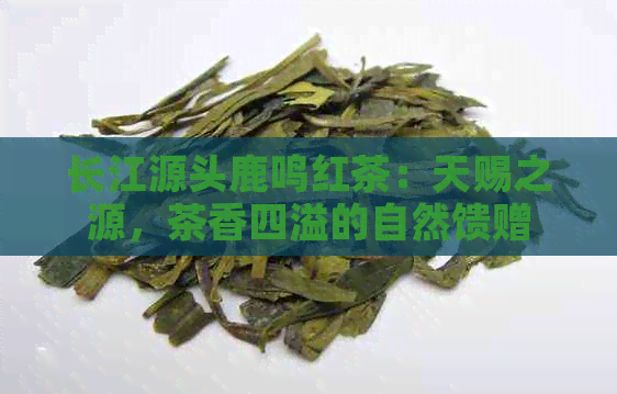 长江源头鹿鸣红茶：天赐之源，茶香四溢的自然馈赠