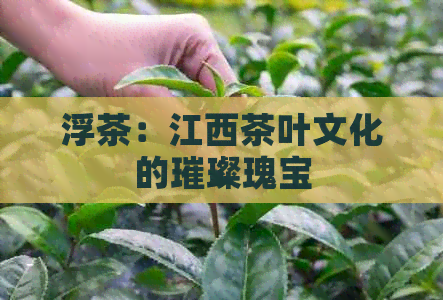 浮茶：江西茶叶文化的璀璨瑰宝