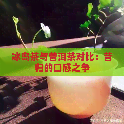 冰岛茶与普洱茶对比：昔归的口感之争