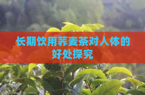 长期饮用荞麦茶对人体的好处探究