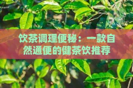 饮茶调理便秘：一款自然通便的健茶饮推荐