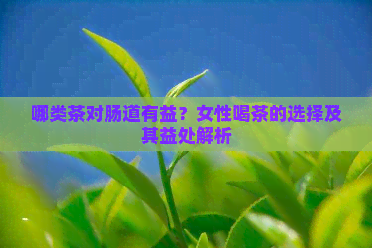 哪类茶对肠道有益？女性喝茶的选择及其益处解析