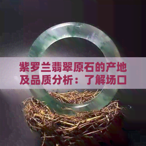 紫罗兰翡翠原石的产地及品质分析：了解场口与挑选技巧