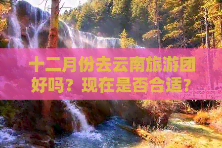 十二月份去云南旅游团好吗？现在是否合适？