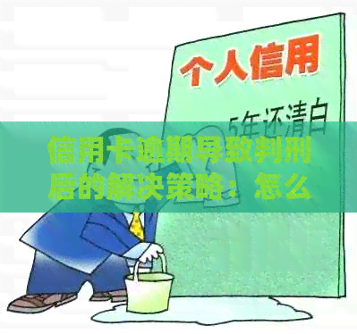 信用卡逾期导致判刑后的解决策略：怎么办？