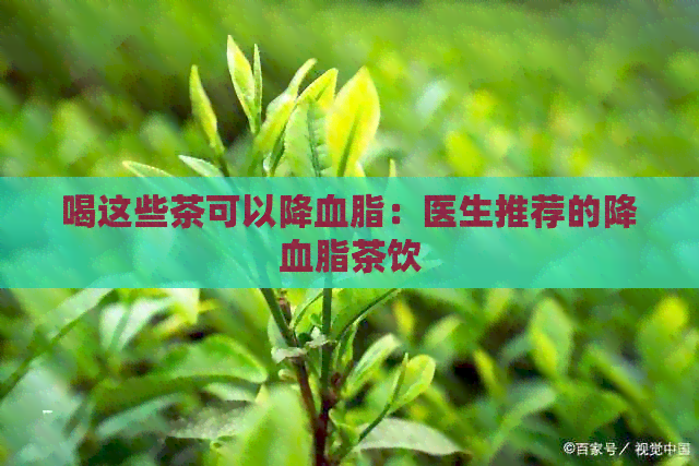 喝这些茶可以降血脂：医生推荐的降血脂茶饮