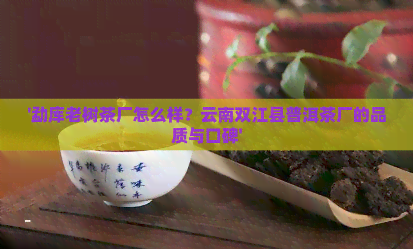 '勐库老树茶厂怎么样？云南双江县普洱茶厂的品质与口碑'