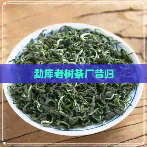 勐库老树茶厂昔归