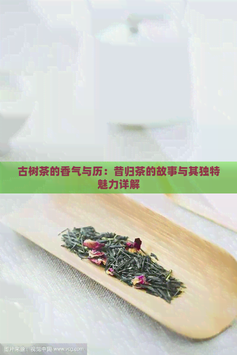 古树茶的香气与历：昔归茶的故事与其独特魅力详解