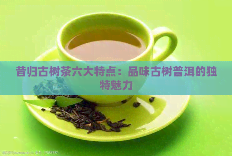 昔归古树茶六大特点：品味古树普洱的独特魅力