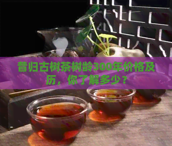 昔归古树茶树龄300年价格及历，你了解多少？