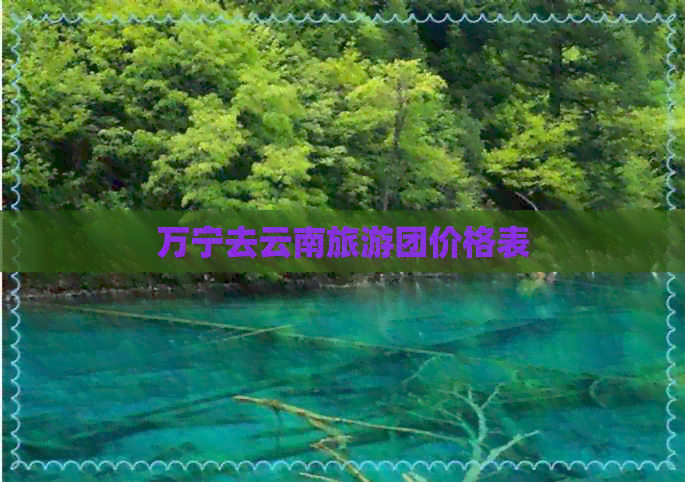 万宁去云南旅游团价格表