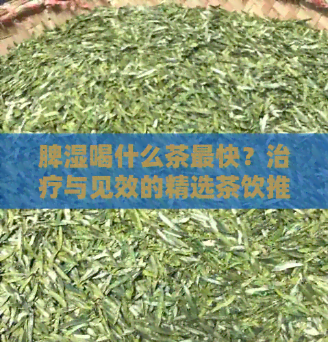 脾湿喝什么茶最快？治疗与见效的精选茶饮推荐