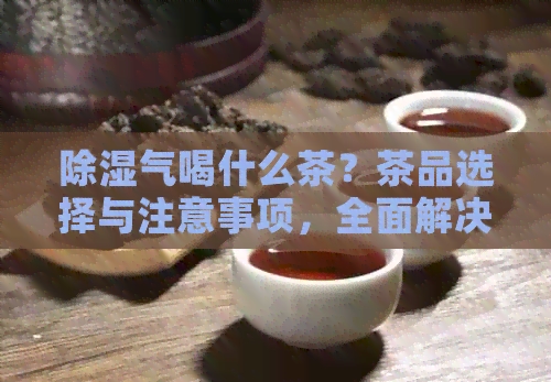 除湿气喝什么茶？茶品选择与注意事项，全面解决用户疑问