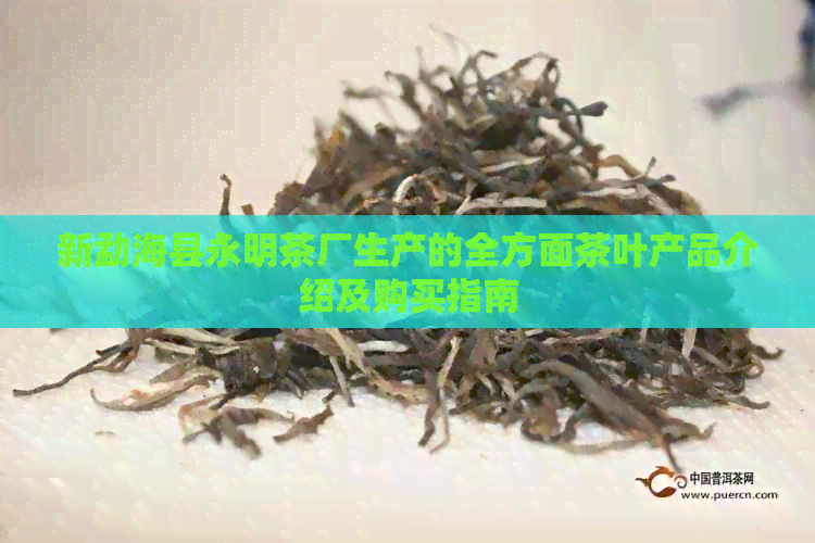 新勐海县永明茶厂生产的全方面茶叶产品介绍及购买指南