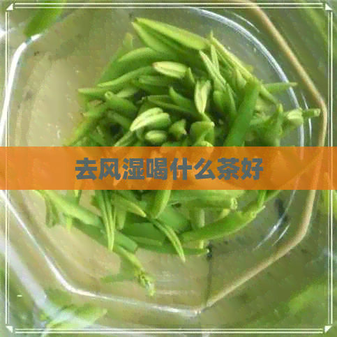 去风湿喝什么茶好