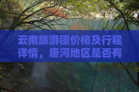 云南旅游团价格及行程详情，唐河地区是否有相关线路？