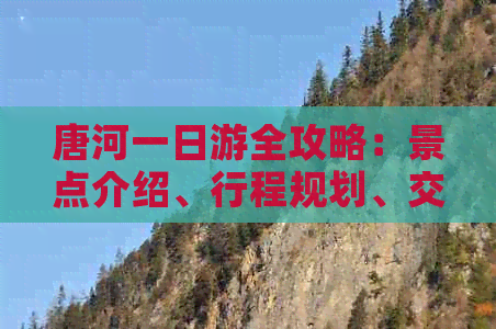 唐河一日游全攻略：景点介绍、行程规划、交通指南一应俱全