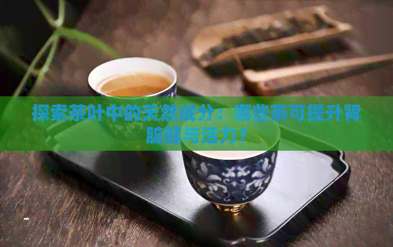 探索茶叶中的天然成分：哪些茶可提升肾脏健与活力？