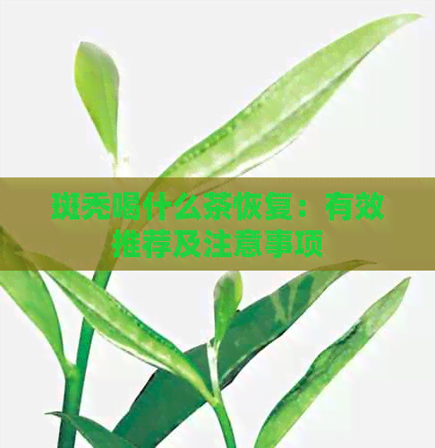 斑秃喝什么茶恢复：有效推荐及注意事项