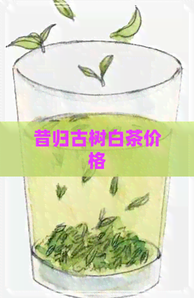 昔归古树白茶价格