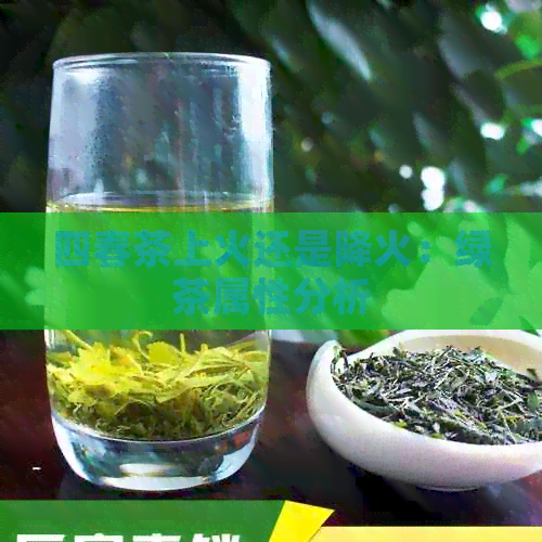 四春茶上火还是降火：绿茶属性分析