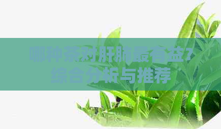 哪种茶对肝肺最有益？综合分析与推荐