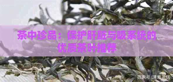 茶中珍品：保护肝脏与吸系统的优质茶叶推荐