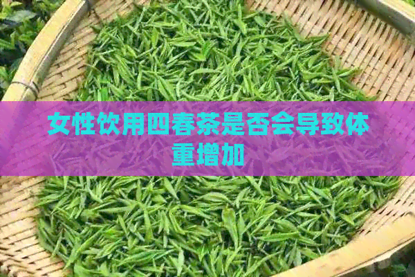 女性饮用四春茶是否会导致体重增加