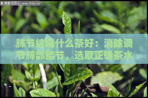 肺节结喝什么茶好：消除调节肺部结节，选取正确茶水的技巧