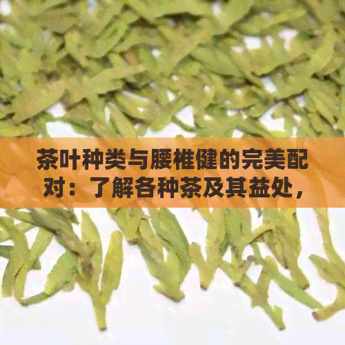 茶叶种类与腰椎健的完美配对：了解各种茶及其益处，挑选最适合您的茶品