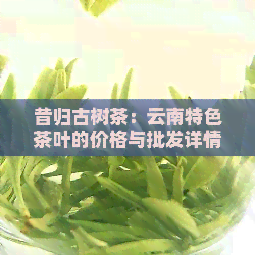 昔归古树茶：云南特色茶叶的价格与批发详情