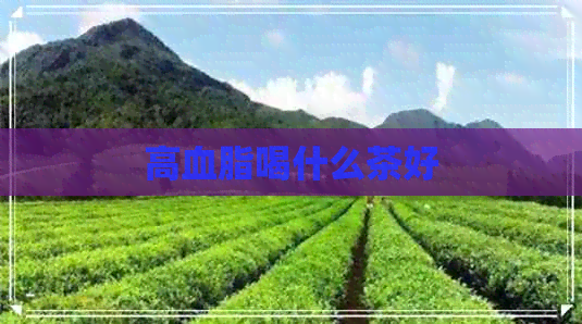 高血脂喝什么茶好