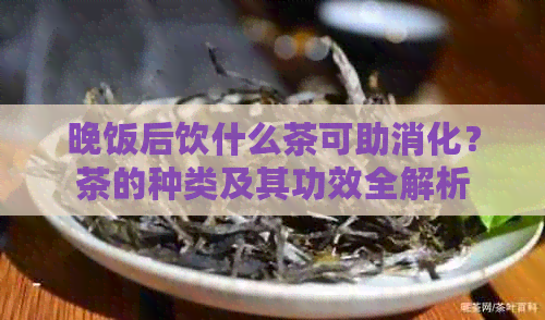 晚饭后饮什么茶可助消化？茶的种类及其功效全解析