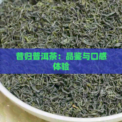 昔归普洱茶：品鉴与口感体验