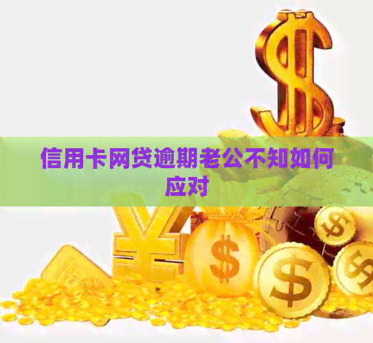 信用卡网贷逾期老公不知如何应对