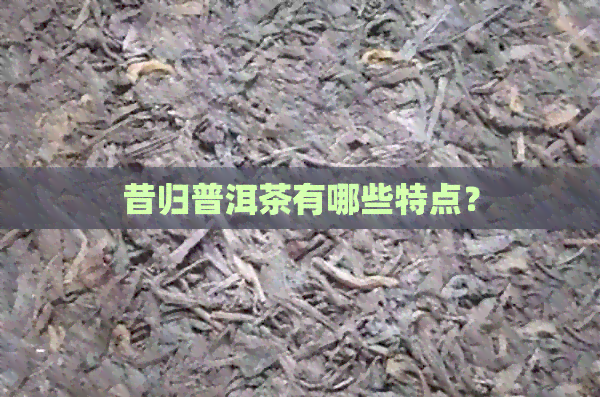 昔归普洱茶有哪些特点？