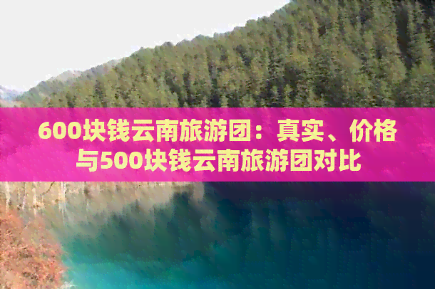 600块钱云南旅游团：真实、价格与500块钱云南旅游团对比