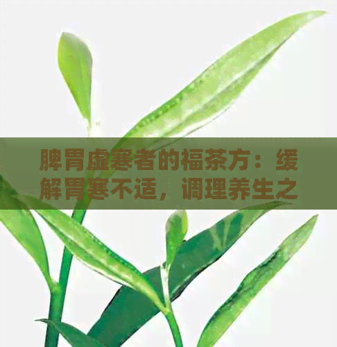 脾胃虚寒者的福茶方：缓解胃寒不适，调理养生之道