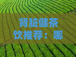 肾脏健茶饮推荐：哪些茶叶有益于肾脏功能？