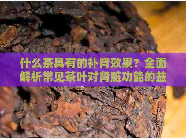 什么茶具有的补肾效果？全面解析常见茶叶对肾脏功能的益处