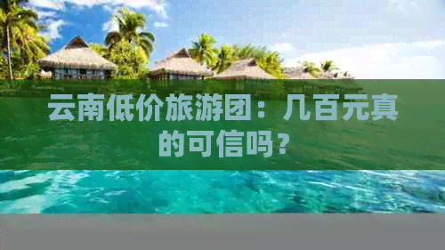 云南低价旅游团：几百元真的可信吗？