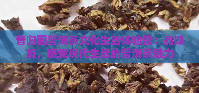 昔归园普洱茶文化生活体验馆：品味历，感受现代生活的普洱茶魅力