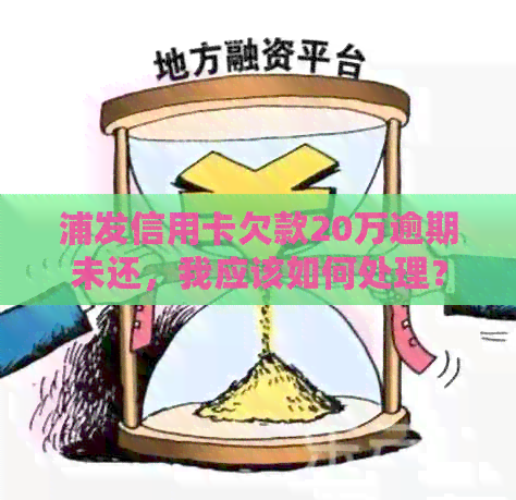 浦发信用卡欠款20万逾期未还，我应该如何处理？